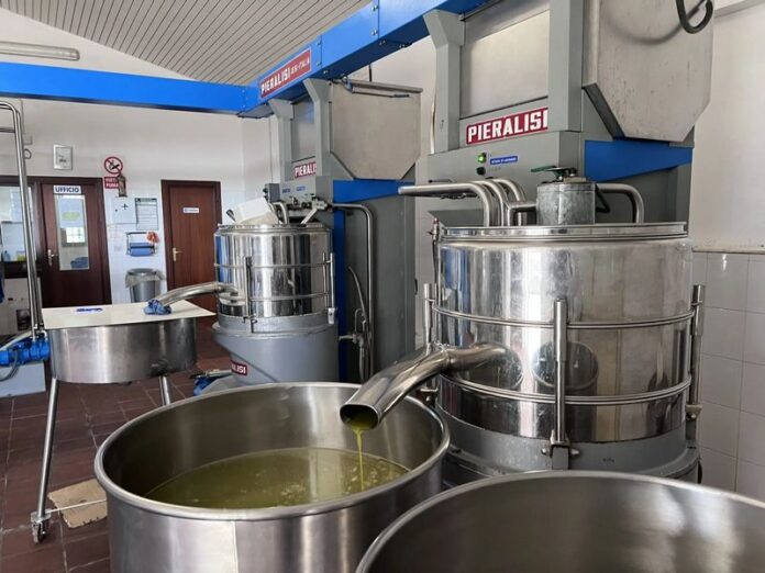 frantoio moderno calabria