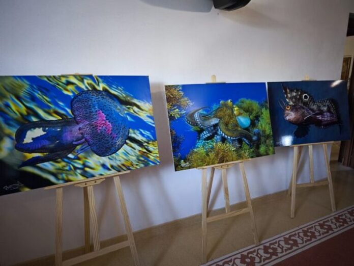 mostra parchi marini_bivona