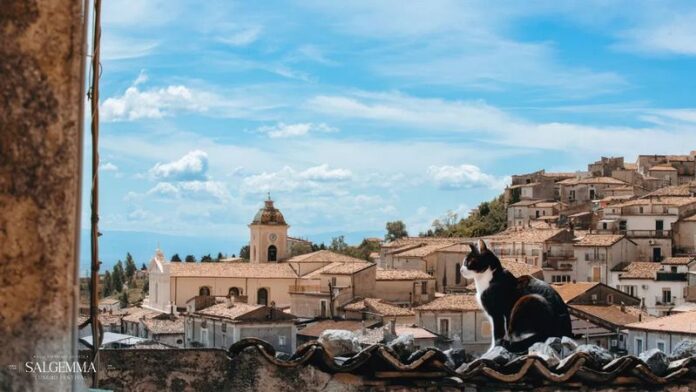 salgemma lungro festival