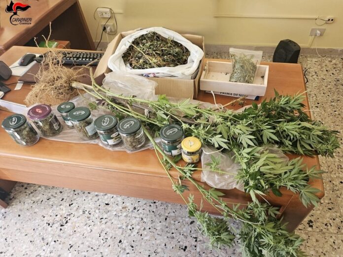 arresto droga Rogliano