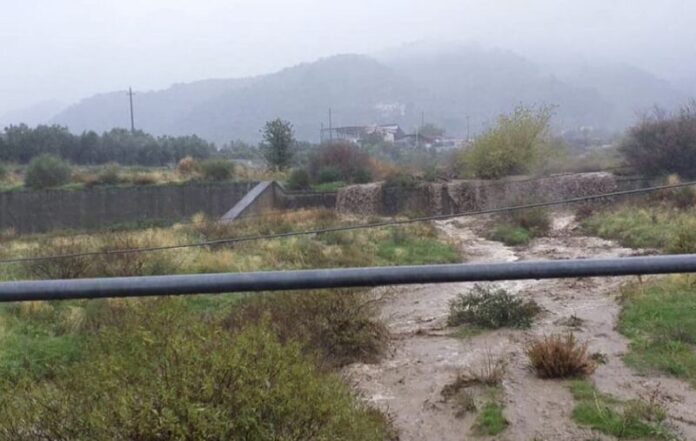 torrente Grammisato