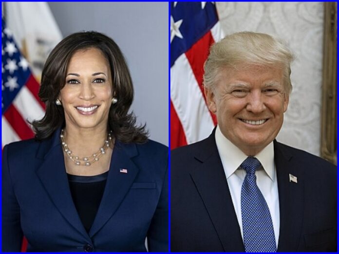 Elezioni presidente Usa