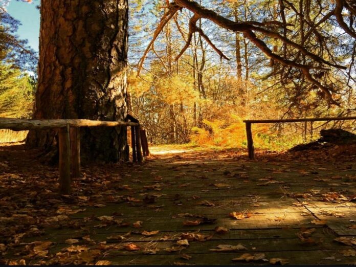 passeggiate in Sila