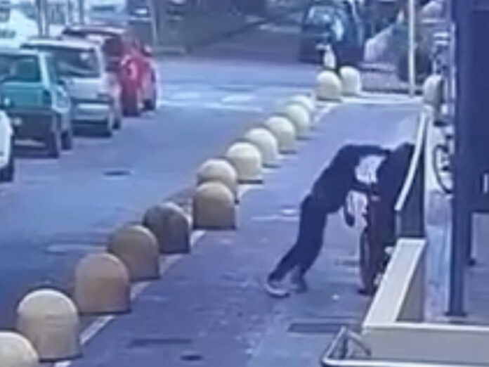 aggressione anziani reggio