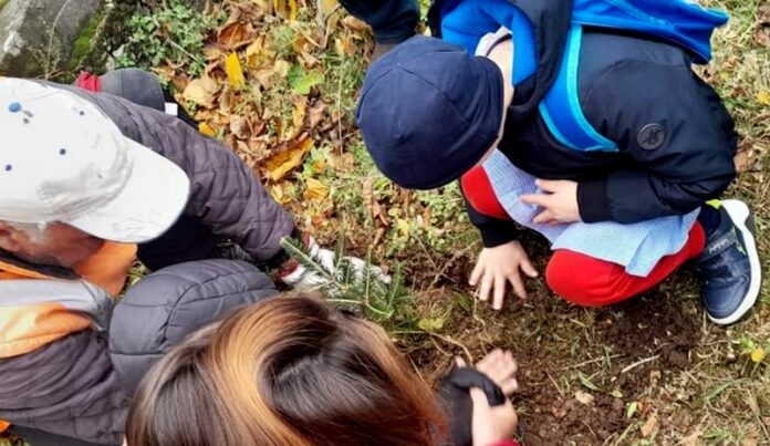 festa albero frascineto