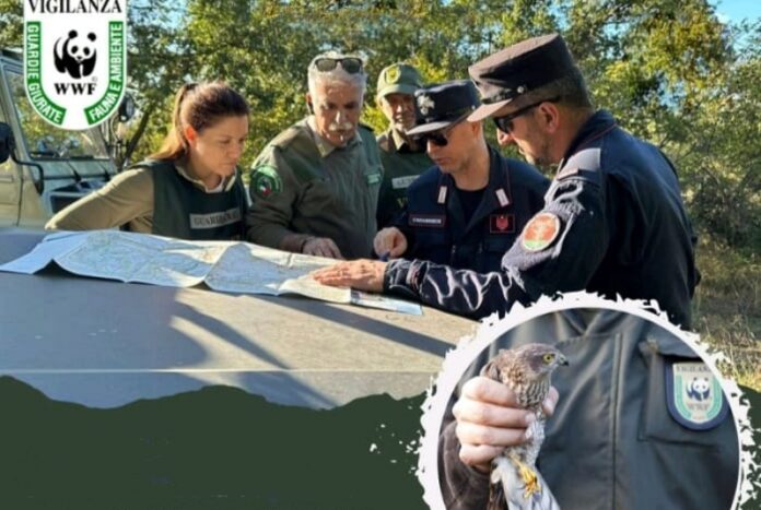corso guardie wwf