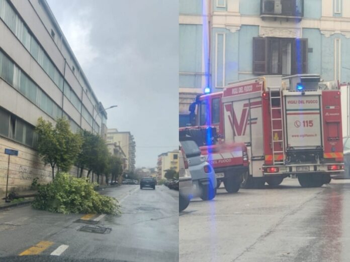 maltempo cosenza vento