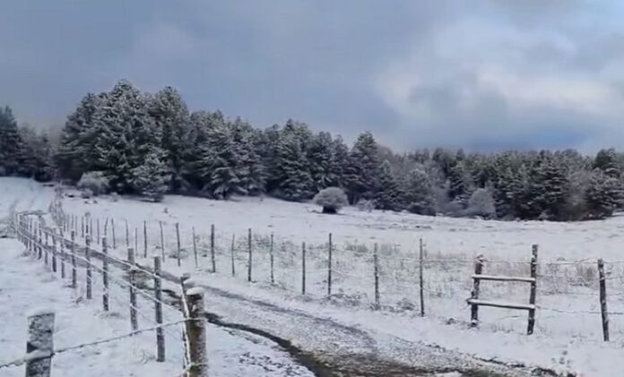 neve centro fondo carlomagno calabria