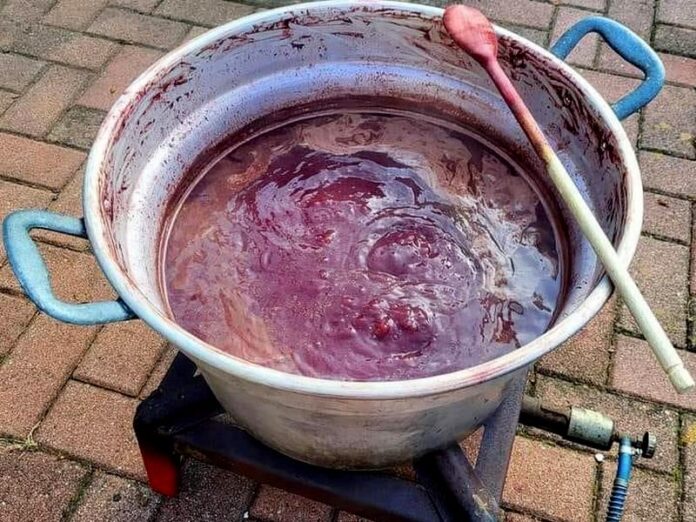 vino cotto_Foto di Ornella Palaia