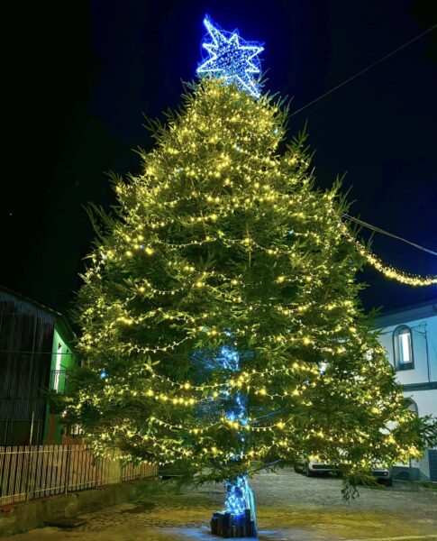 albero di natale Brognaturo
