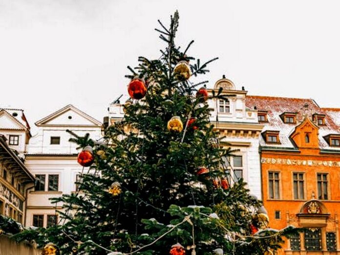 albero di natale generico