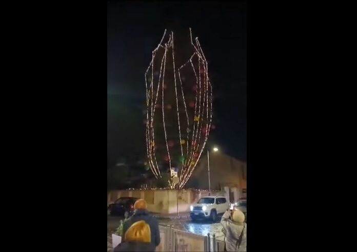 albero natale vibo_2024