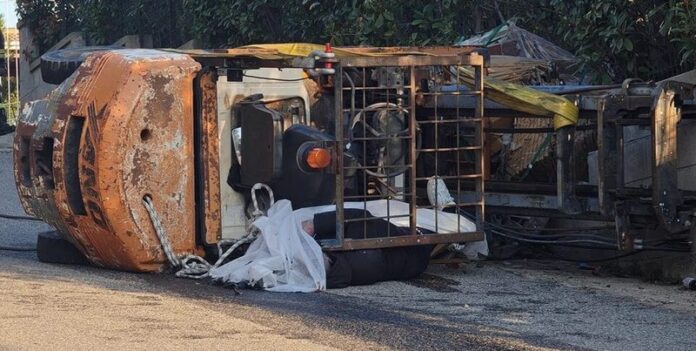 muletto morto Isola Capo Rizzuto