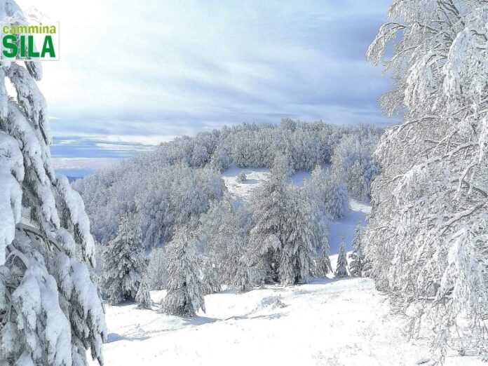 neve Sila sole