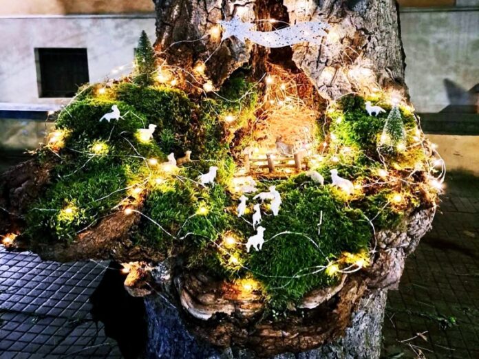 presepe cosenza