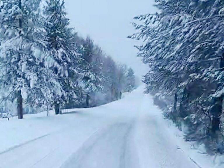 strada neve lorica_ ph Paolo Spina