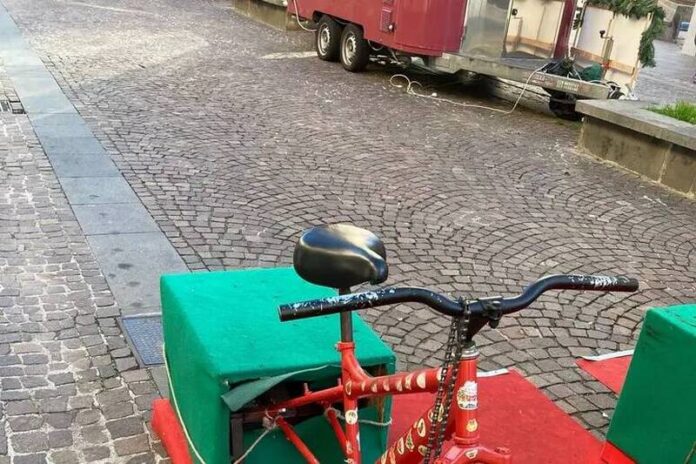 vandali albero natale lamezia