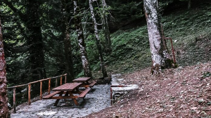 aiello calabro_località casellone