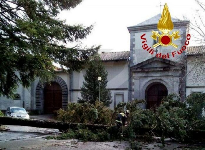 albero caduto certosa serra san bruno