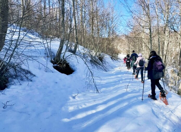 sila neve ciaspole