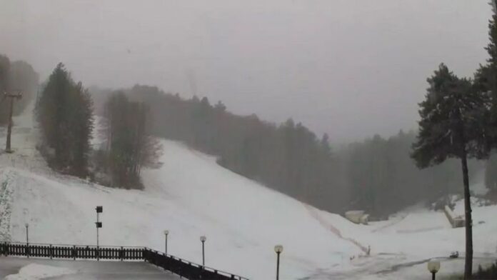 neve psite camigliatello webcam
