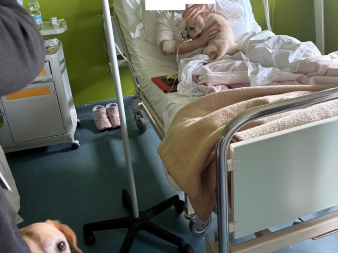 pet terapy catanzaro