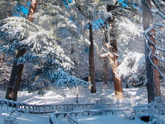montagne calabresi inverno