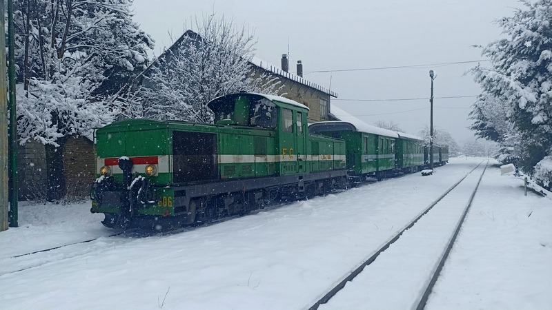 treno della sila neve_gennaio 2025