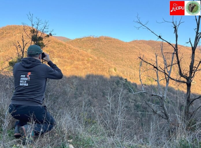 Francesco Martucci del GLC LIPU SILA durante i monitoraggi