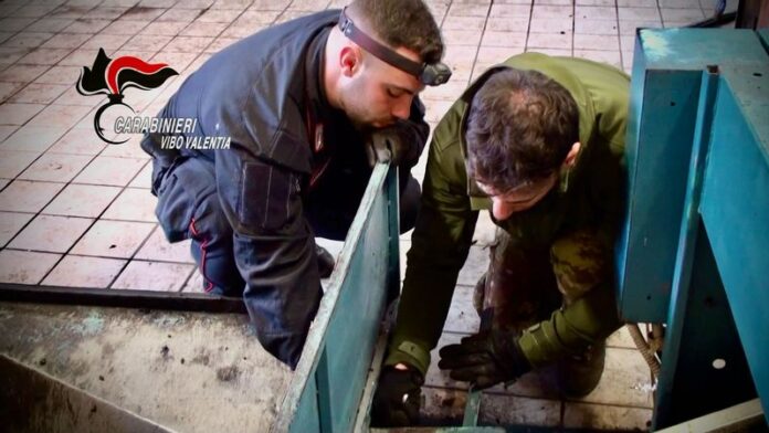 carabinieri vibo_operazione alto impatto