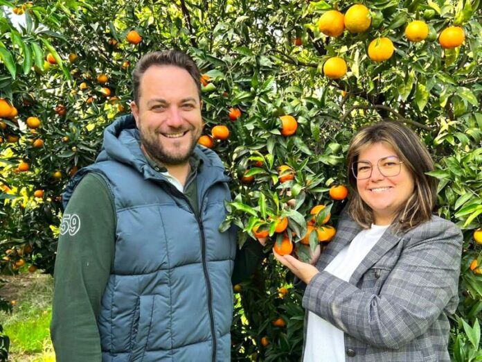 marmellata clementine igp calabria