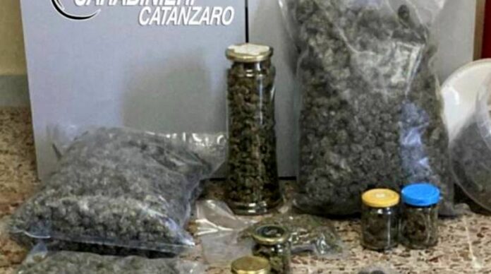 marijuana maida