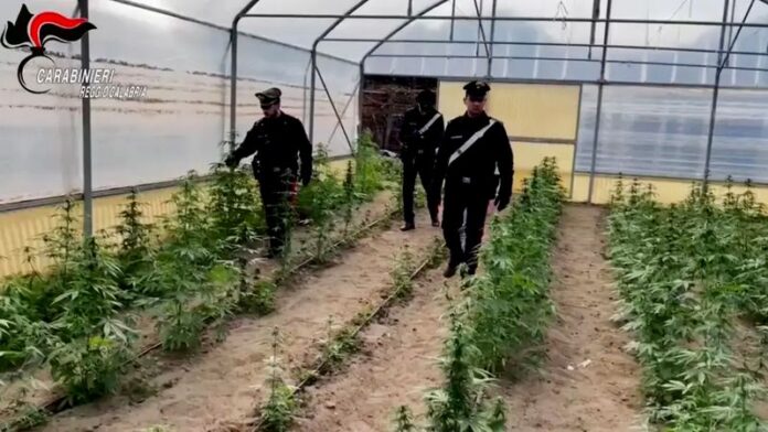 maxi operazione antidroga reggio calabria