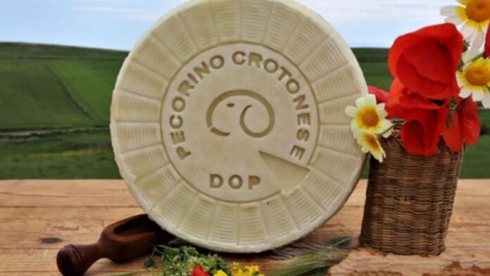 pecorino crotonese dop