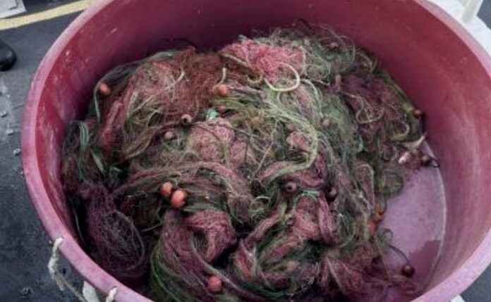 rete da pesca illegale