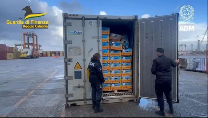 sequestro cocaina container porto gioia