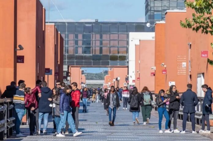 borse di studio Unical