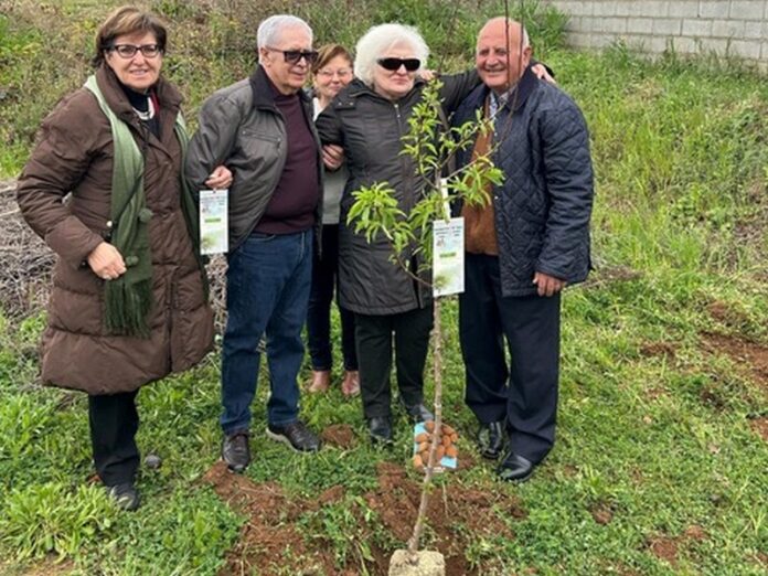 albero della vita rende