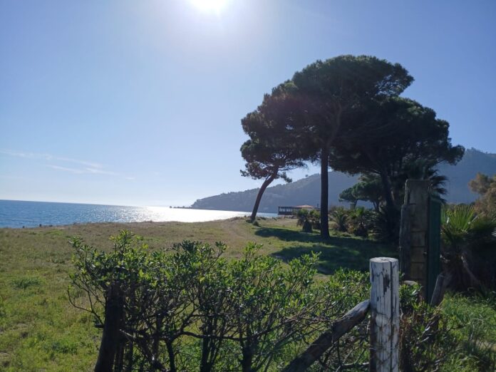 assaggio di primavera Calabria