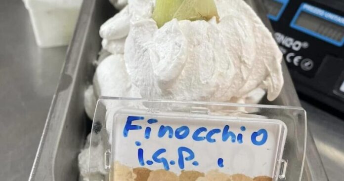 gelato al finocchio igp