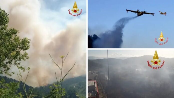 incendio boschi falerna