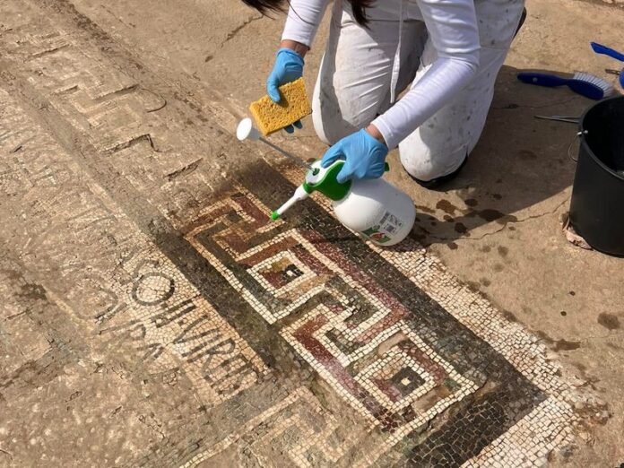 mosaici delfini capo colonna