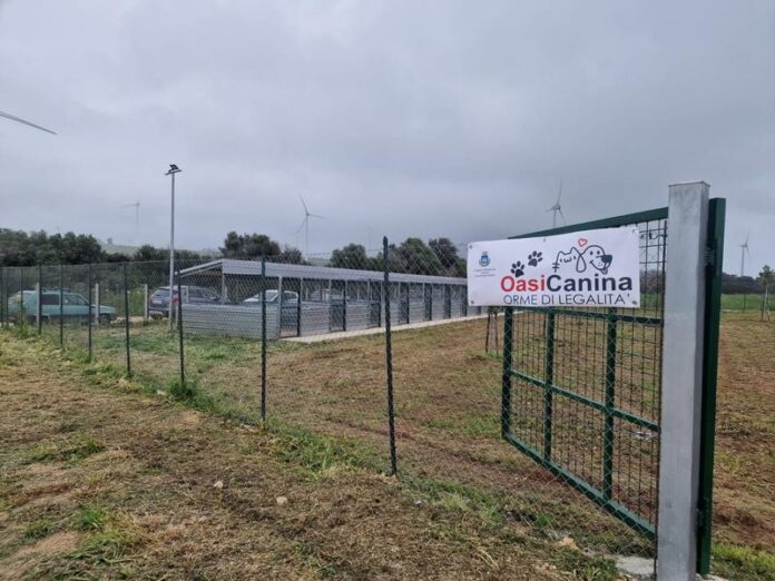 oasi canina isola capo rizzuto