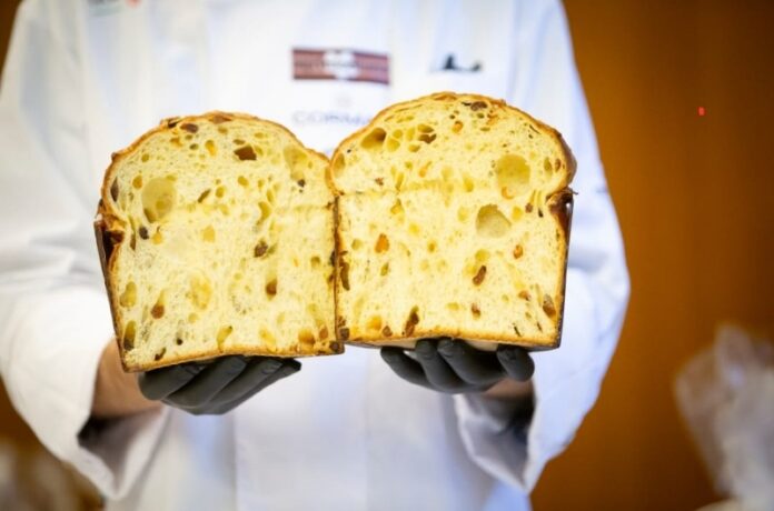 selezione migliore panettone