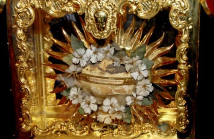 reliquia cranio san francesco