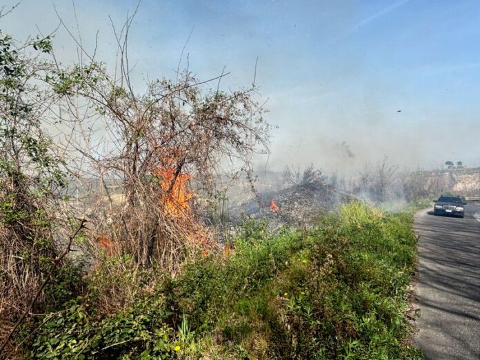 vibo incendio provinciale