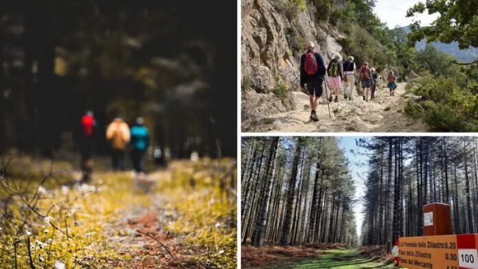 aspromonte_sentiero calabria
