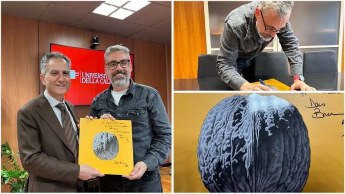 brunori rettore unical