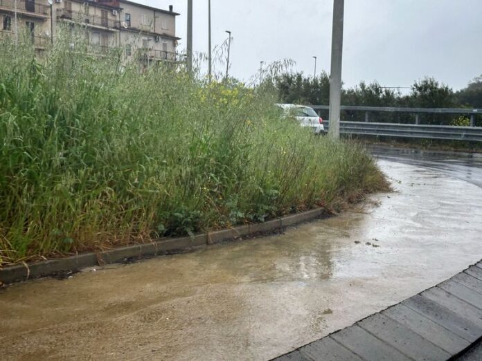 pericolo vegetazione 106