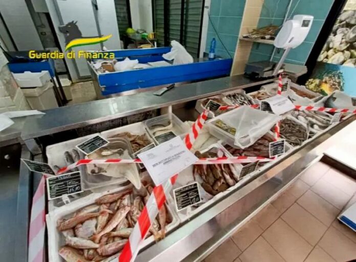 pesca illegale vibo_sequestri
